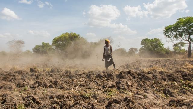 a woman standing in a field