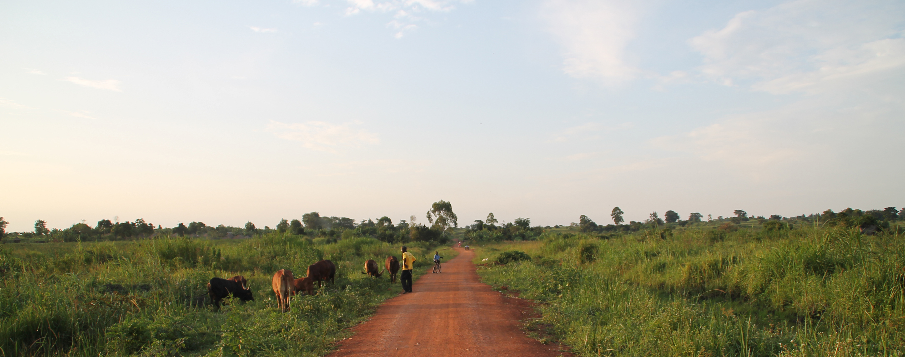 Image of dirt road and open sky