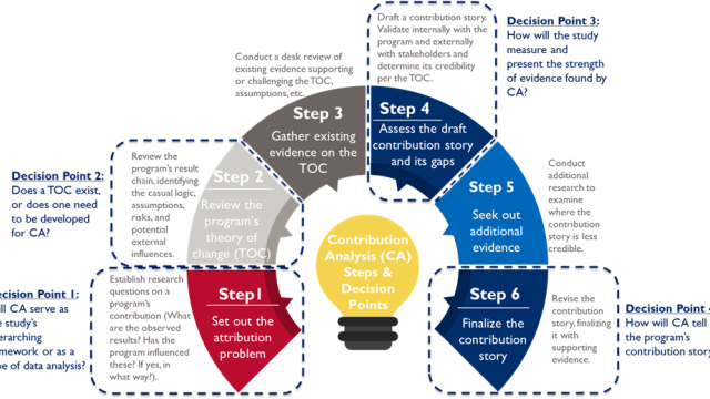 Figure 1: The Steps and Decision Points of Contribution Analysis