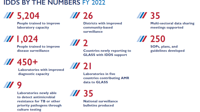 Infographic showing key statistics from the IDDS project